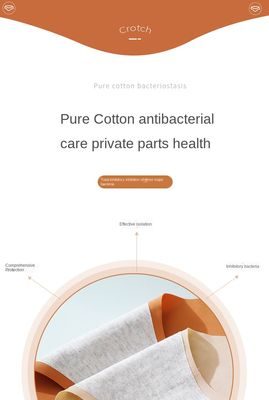 Women’s Ice Silk Traceless Ultra-Thin Mid-Waist Triangle Underwear – Soft, Breathable, and Comfortable Lingerie Briefs