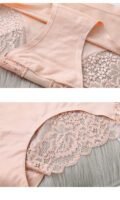 Women’s Lace Briefs – Plus Size Ice Silk Seamless Underwear, European & US Style