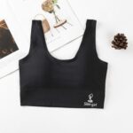 Women‘s Ice Silk Seamless Bra Sports Push Up Underwear Transparent Mesh GathersBralette Plus Size Comfortable Elastic Bralette