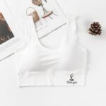 Women‘s Ice Silk Seamless Bra Sports Push Up Underwear Transparent Mesh GathersBralette Plus Size Comfortable Elastic Bralette