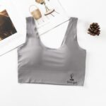 Women‘s Ice Silk Seamless Bra Sports Push Up Underwear Transparent Mesh GathersBralette Plus Size Comfortable Elastic Bralette