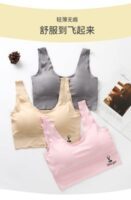 Women‘s Ice Silk Seamless Bra Sports Push Up Underwear Transparent Mesh GathersBralette Plus Size Comfortable Elastic Bralette
